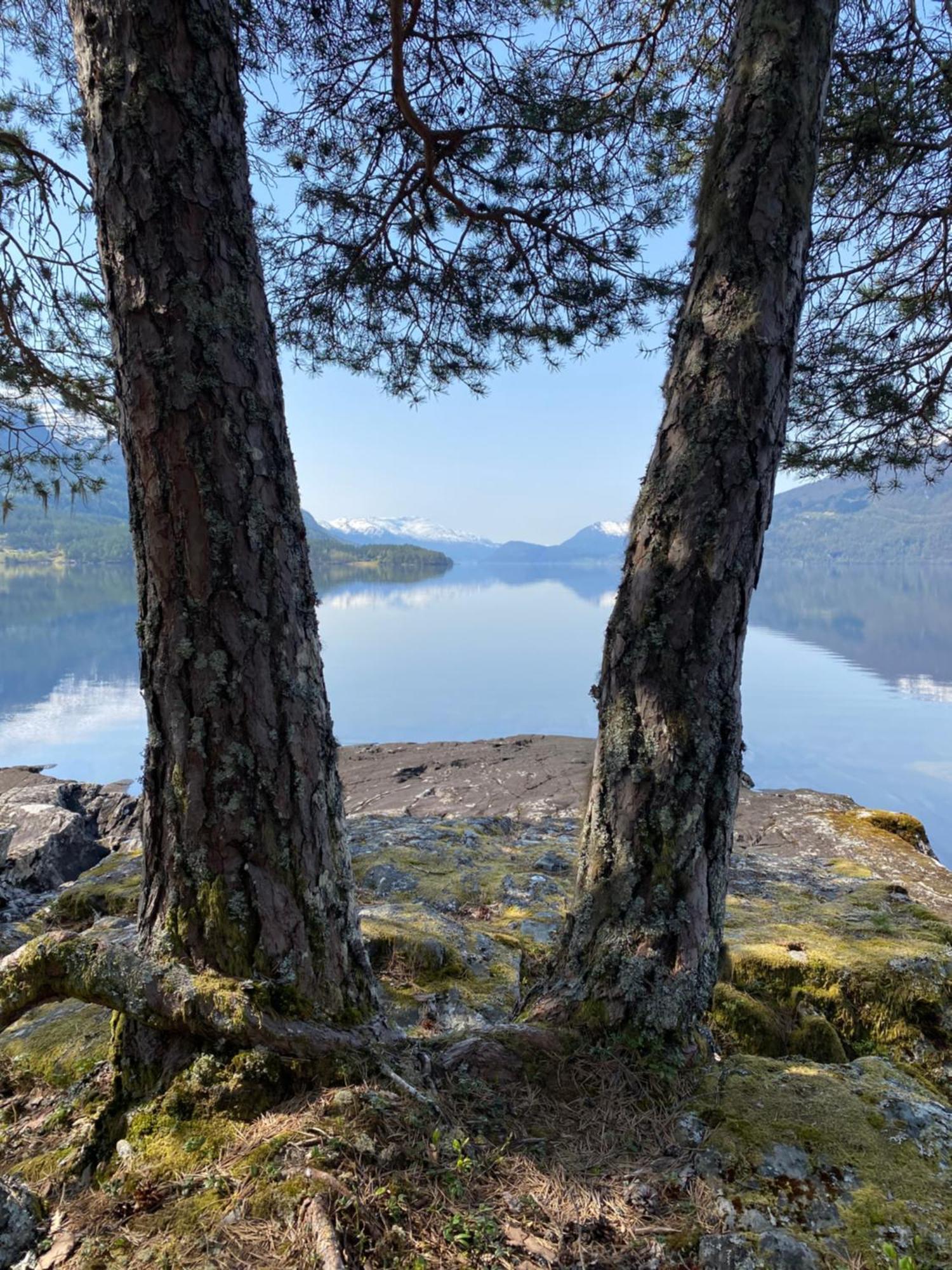 Naustloftet Villa Hornindal Eksteriør billede